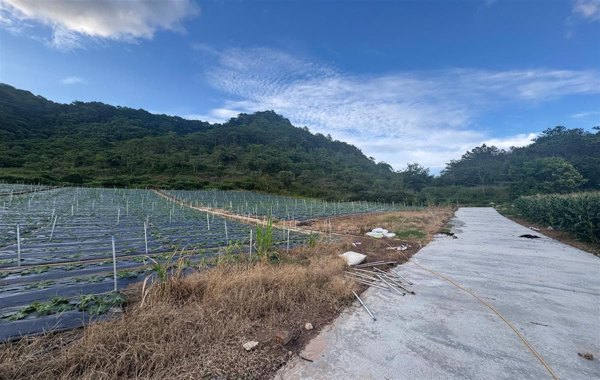 Bán đất Thị trấn Thạnh Mỹ Huyện Đơn Dương tỉnh Lâm Đồng