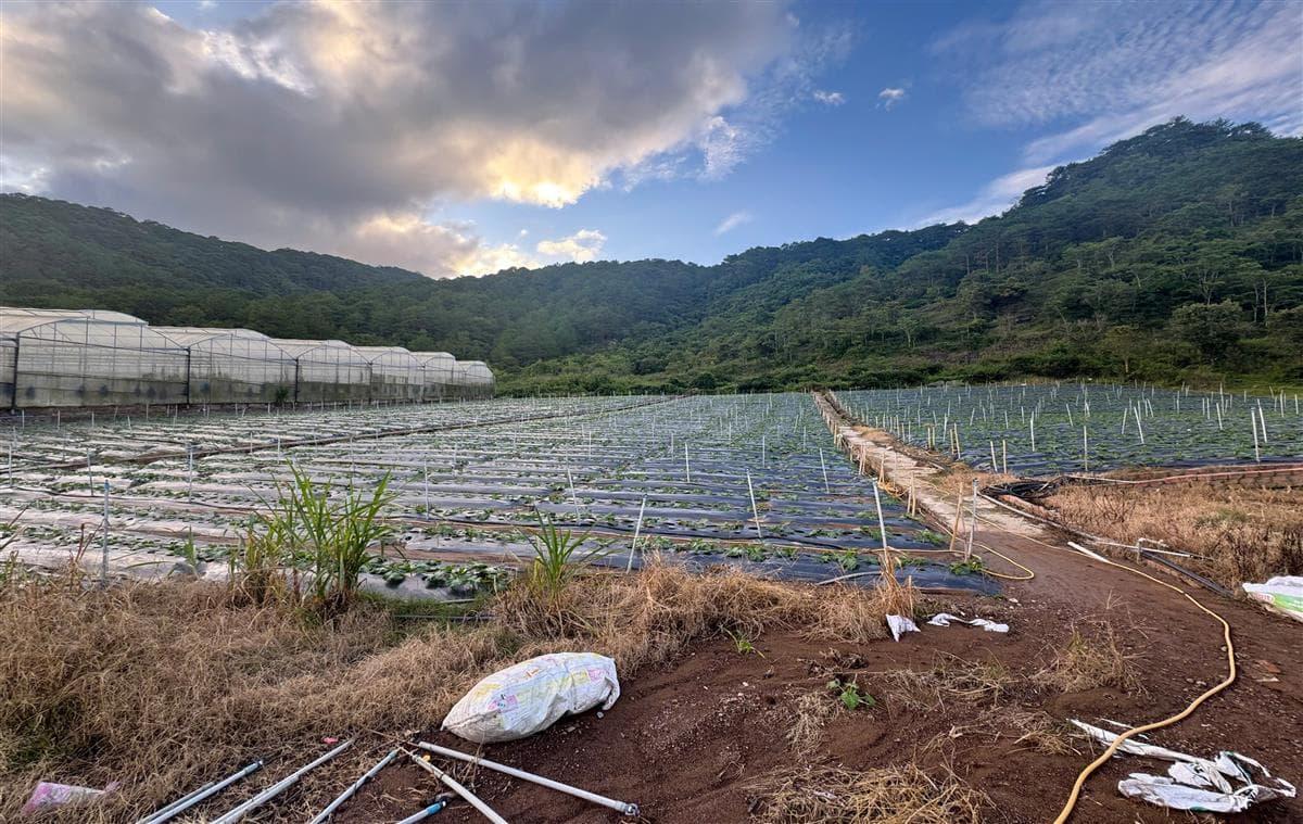 Bán đất Thị trấn Thạnh Mỹ Huyện Đơn Dương tỉnh Lâm Đồng 2