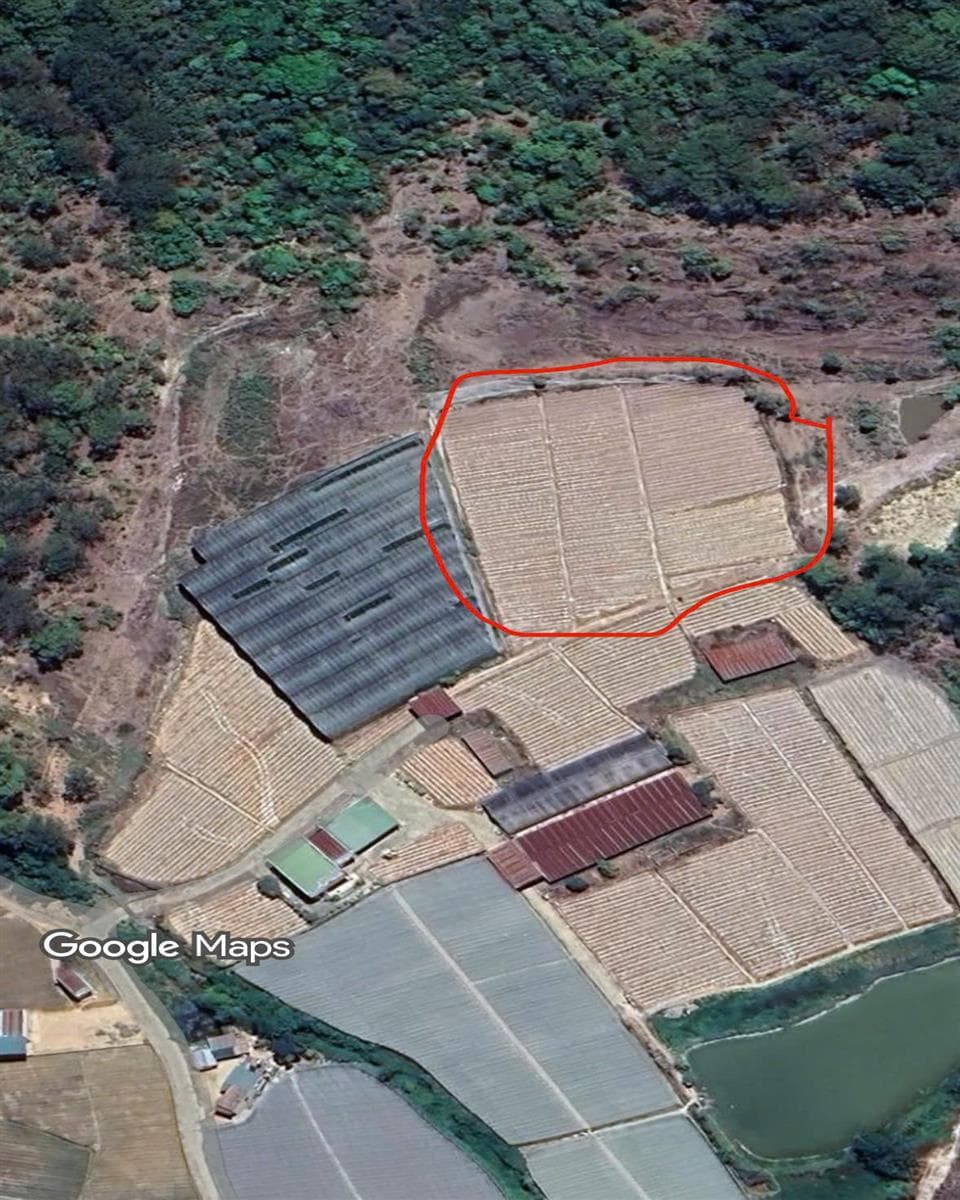 Bán đất Thị trấn Thạnh Mỹ Huyện Đơn Dương tỉnh Lâm Đồng 3