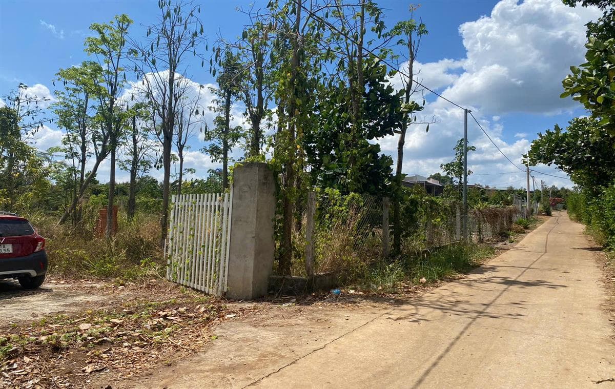 Bán đất xã Bảo Hòa Huyện Xuân Lộc tỉnh Đồng Nai 2