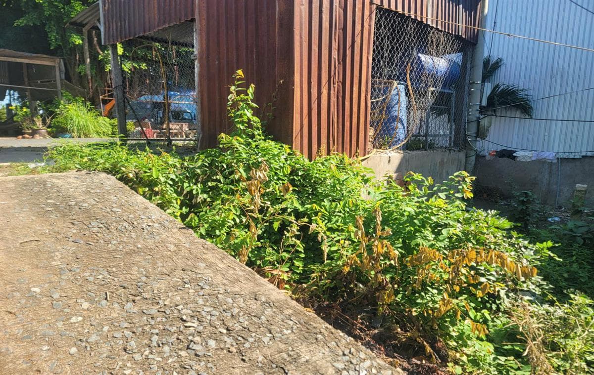 Bán đất xã Khánh Bình Huyện An Phú tỉnh An Giang 2