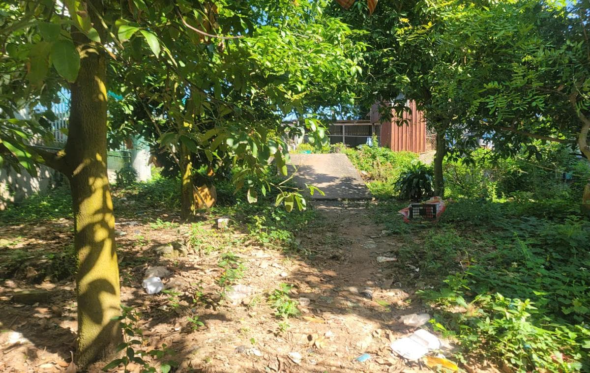 Bán đất xã Khánh Bình Huyện An Phú tỉnh An Giang 3