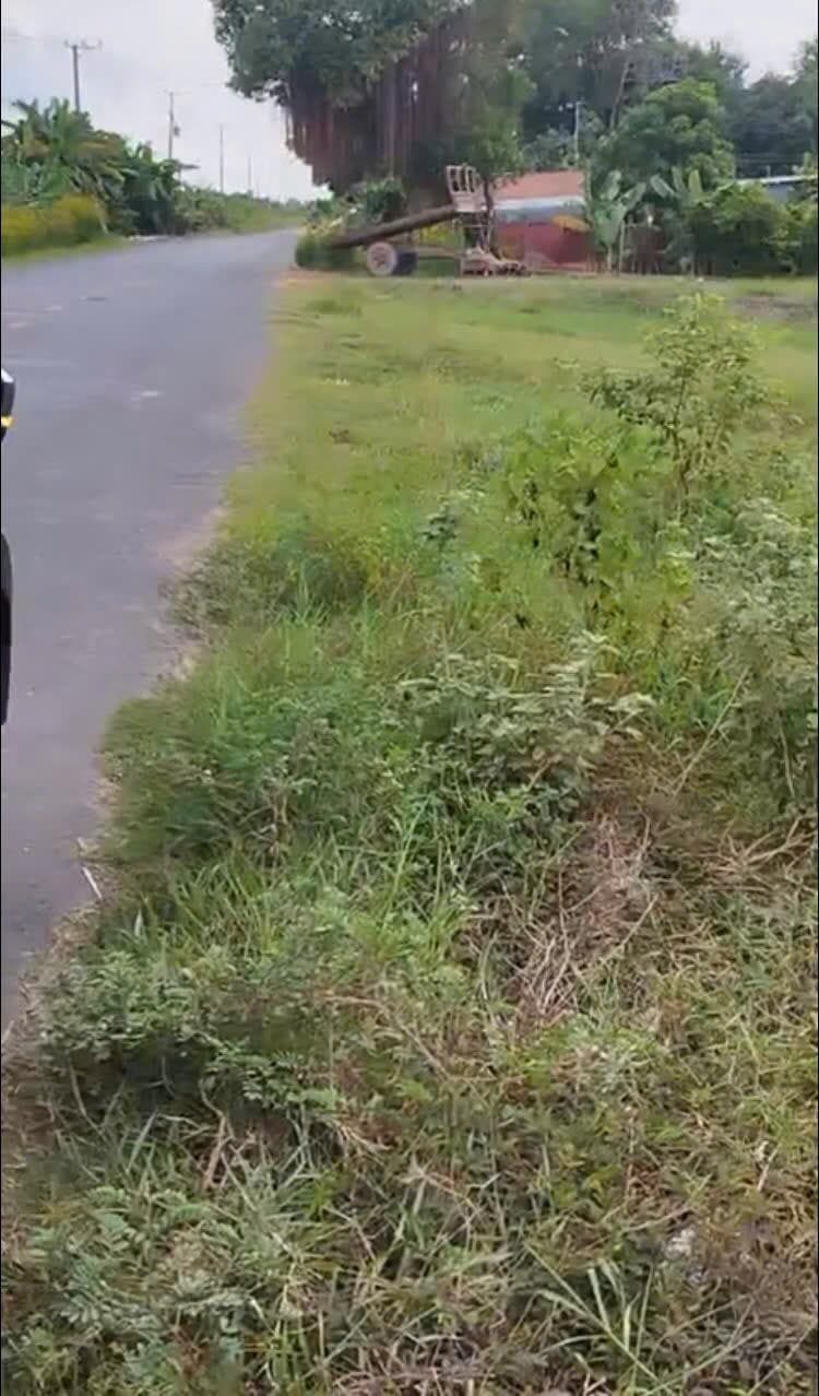 Bán đất xã Long Phước Huyện Bến Cầu tỉnh Tây Ninh 2