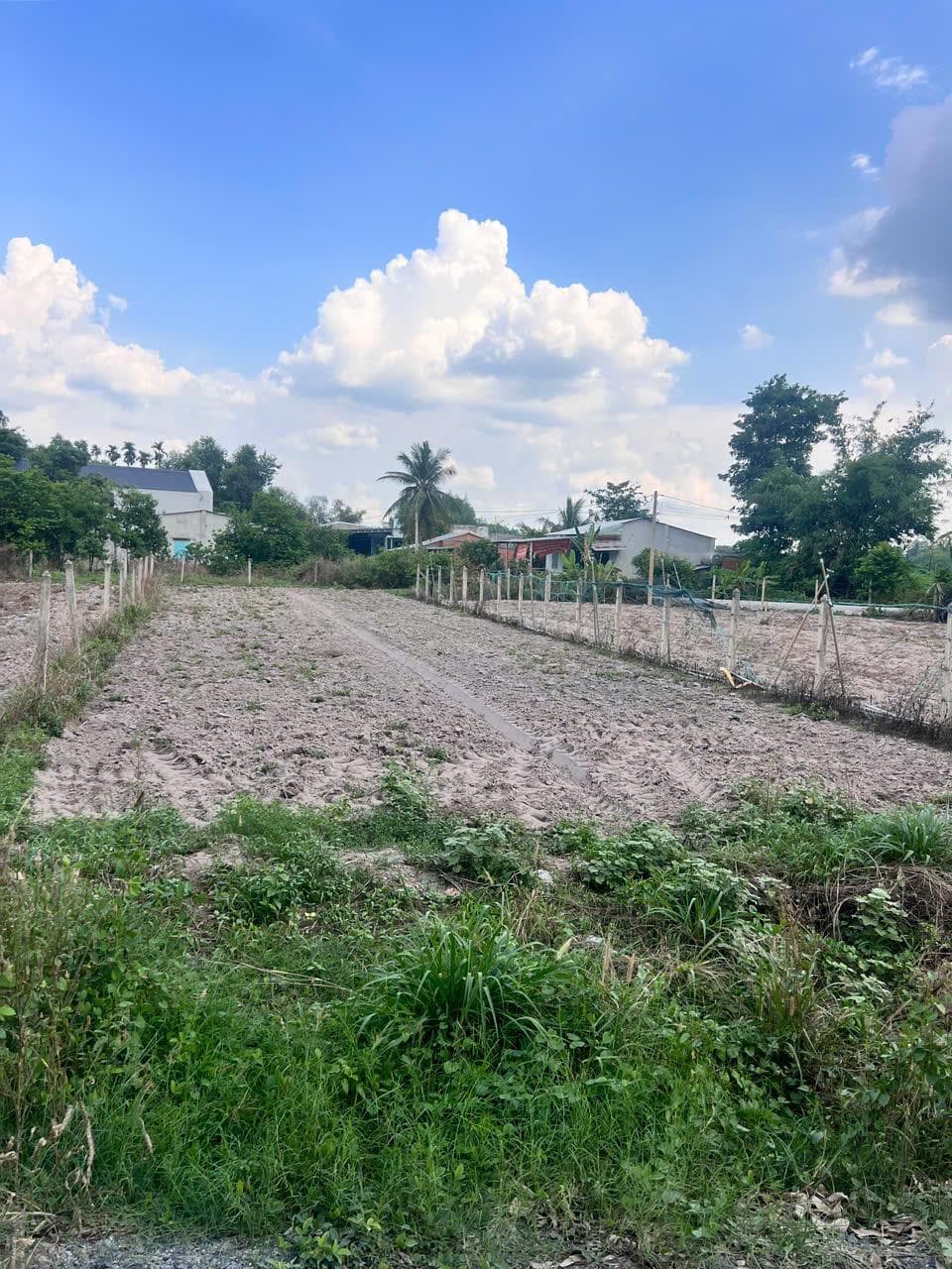 Bán đất xã Suối Đá Huyện Dương Minh Châu tỉnh Tây Ninh 2