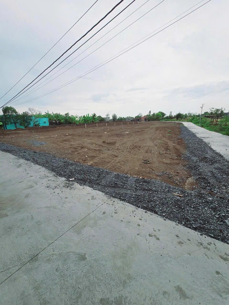 Bán đất xã Tân Trung Thị xã Gò Công tỉnh Tiền Giang 2