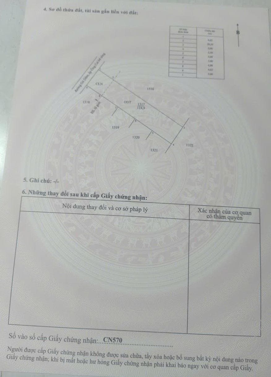 Bán đất xã Tân Trung Thị xã Gò Công tỉnh Tiền Giang 3