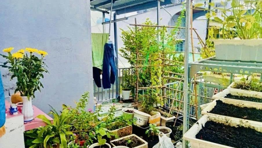 Bán nhà đường Hoàng Sỹ Khải Quận 8 4